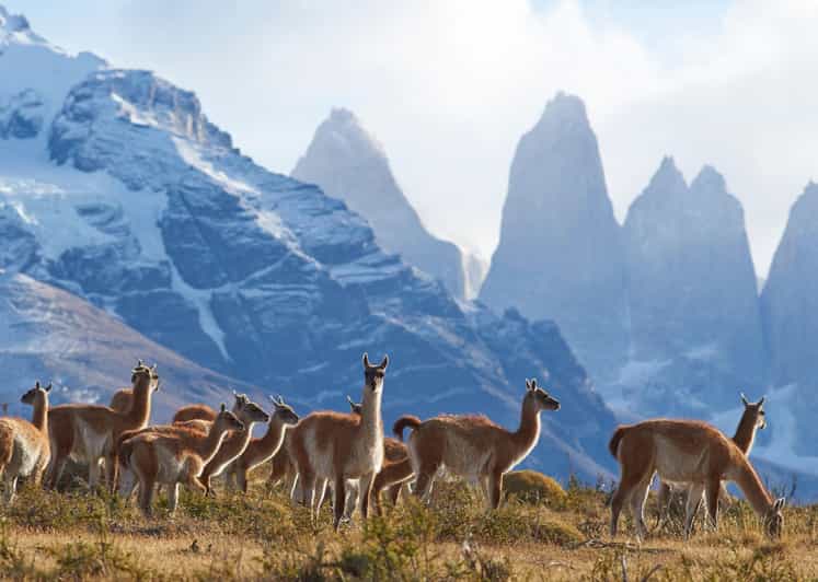 Full-Day Torres del Paine National Park from El Calafate - The Sum Up