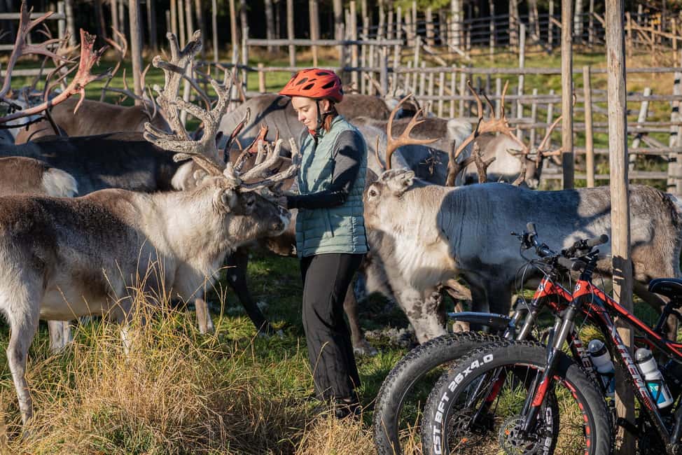 Rovaniemi: E-fatbike Trip to the Reindeer Farm - Key Points