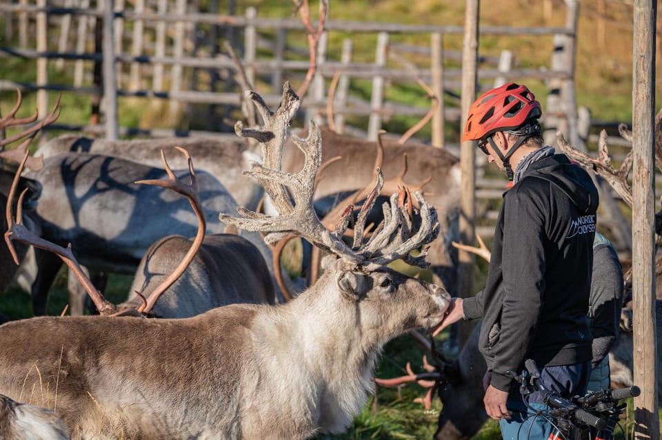 Rovaniemi: E-fatbike Trip to the Reindeer Farm - Final Thoughts