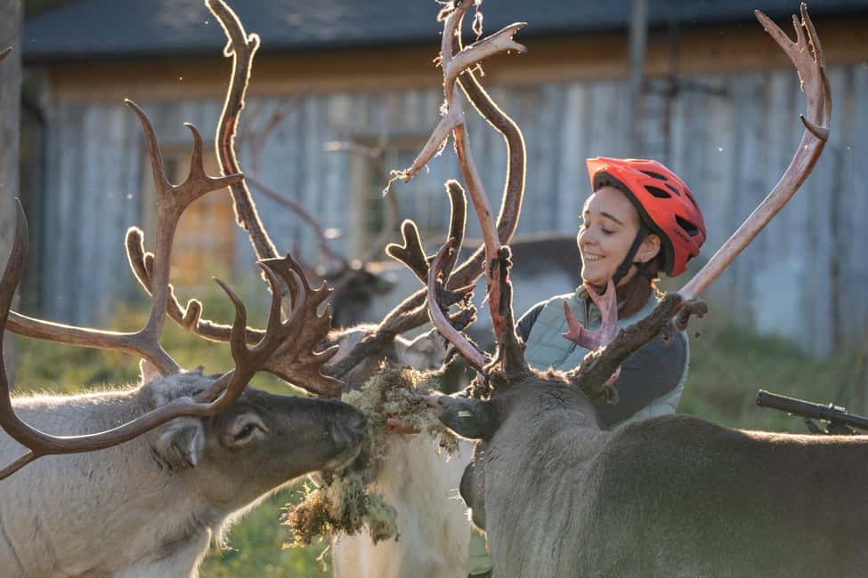Rovaniemi: E-fatbike Trip to the Reindeer Farm - Why We Love This Experience