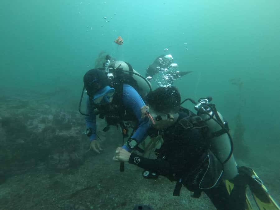 Lima: Discover Scuba Diving - First Experience - The Value of Included Equipment and Support