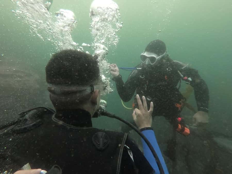 Lima: Discover Scuba Diving - First Experience - The Sum Up: Why This Tour is a Great Value