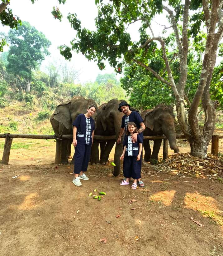 Half-day with CHIANGMAI ELEPHANT CARE program (12pm-6pm.) - Detailed Breakdown of the Tour Experience