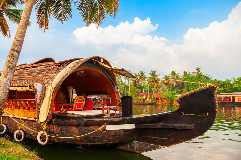 From Cochin: Day Tour of Alleppey House Boat - Why This Tour Works Well