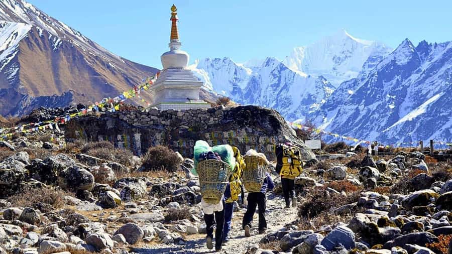 Langtang Valley Trek - The Pinnacle: Tsergo Ri & Kyanjin Ri