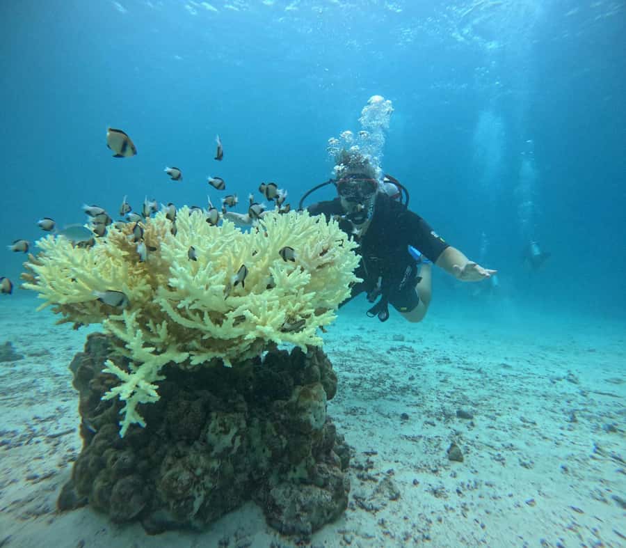 Phuket: Racha Islands 3 scuba dives boat trip PADI GoPro - Final Thoughts