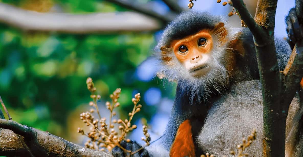 Da Nang Half day City Tour: Linh Ung, Marble & Am Phu Cave - Detailed Breakdown of Each Stop