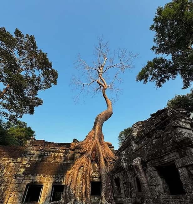 Siem Reap: Angkor 1-Day Private Tour with Sunset or Sunrise - An In-Depth Look at the Tour Experience