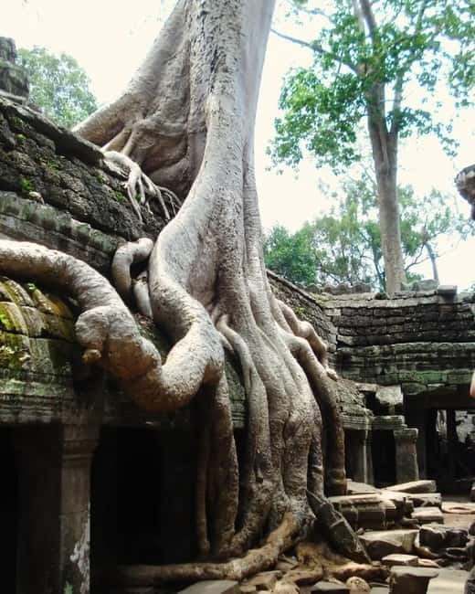 Siem Reap: Angkor 1-Day Private Tour with Sunset or Sunrise - Final Thoughts: The Real Value of This Tour