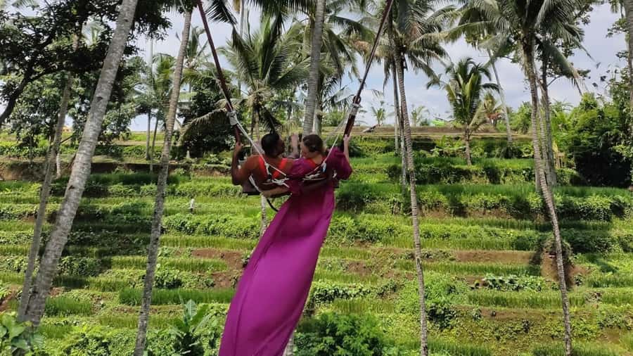 Ubud: E-Bikes Tour & Swing Bali - The Swing Experience: A High Note
