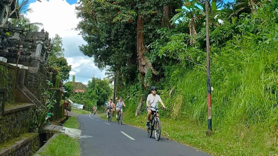 Ubud: E-Bikes Tour & Swing Bali - Good To Know