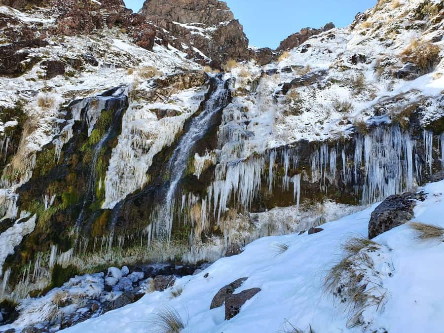 Tongariro Alpine Half Day Guided Group Walk - An In-Depth Look at the Tongariro Alpine Half Day Walk