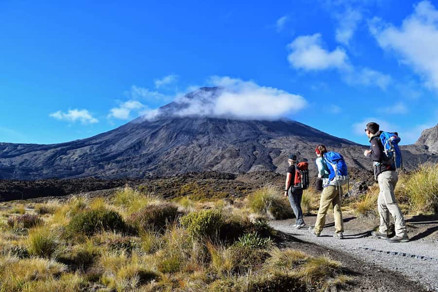 Tongariro Alpine Half Day Guided Group Walk - Good To Know