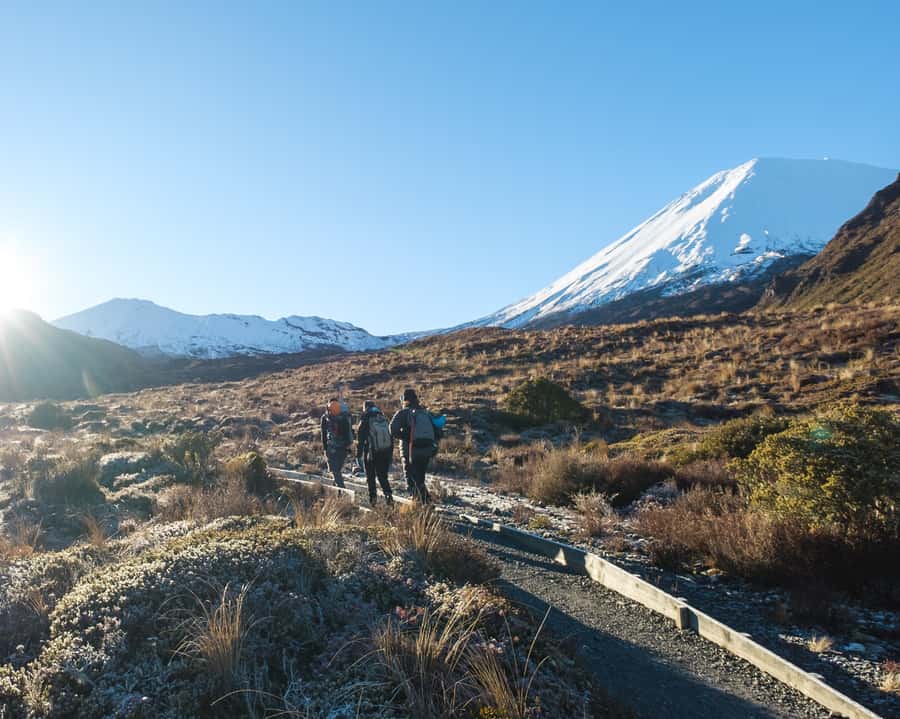 Tongariro Alpine Half Day Guided Group Walk - Final Thoughts