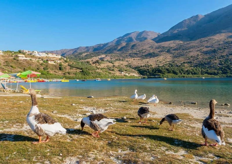 From Chania: Lake Kournas & Argiroupoli Springs Guided Tour - Key Points
