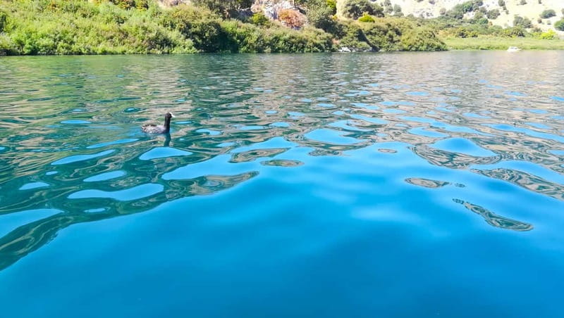 From Chania: Lake Kournas & Argiroupoli Springs Guided Tour - A Closer Look at the Itinerary