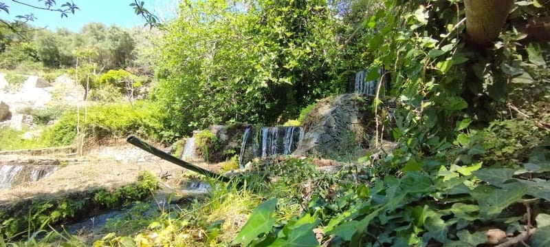 From Chania: Lake Kournas & Argiroupoli Springs Guided Tour - FAQ