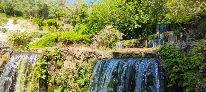 From Chania: Lake Kournas & Argiroupoli Springs Guided Tour - The Value of the Tour