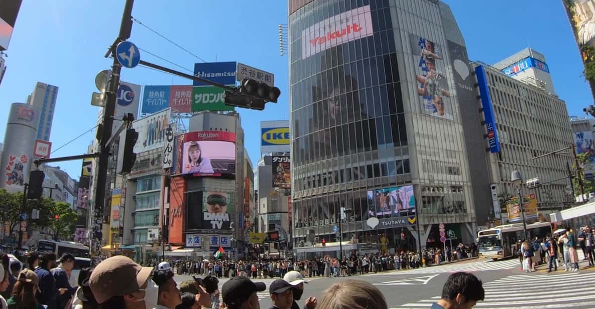 TokyoCalligraphy & Zen Mindful Journey+Take Home Memory - The Kimono Experience