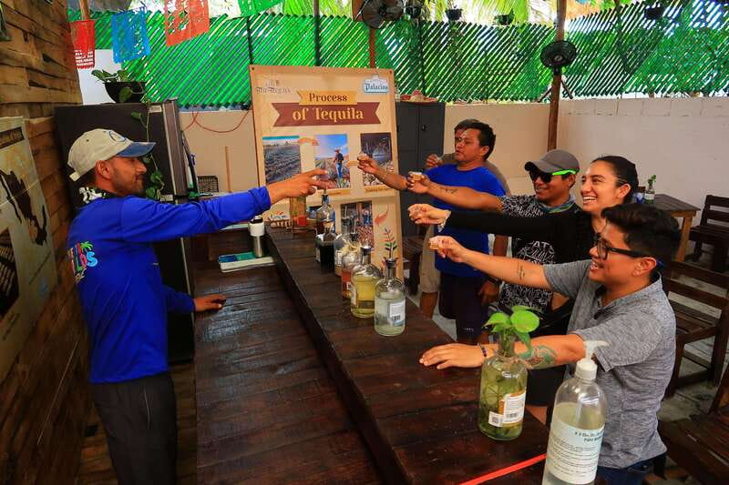 Cancún: Puerto Morelos City & Taco Tour - Who Should Consider This Tour?