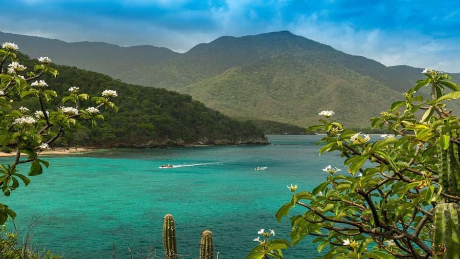 Tayrona Park: Group Tour To Concha Bay - The Sum Up: Who This Tour Is Perfect For