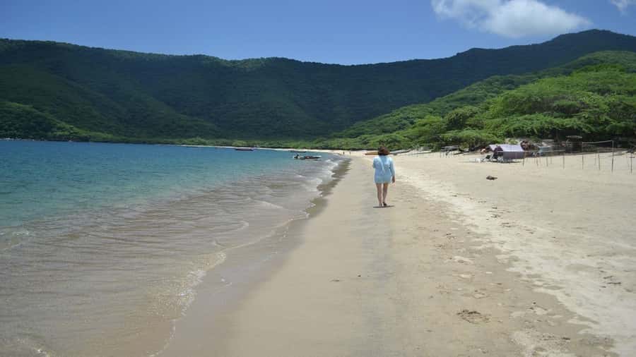 Tayrona Park: Group Tour To Concha Bay - An In-Depth Look at the Tayrona Park: Concha Bay Tour