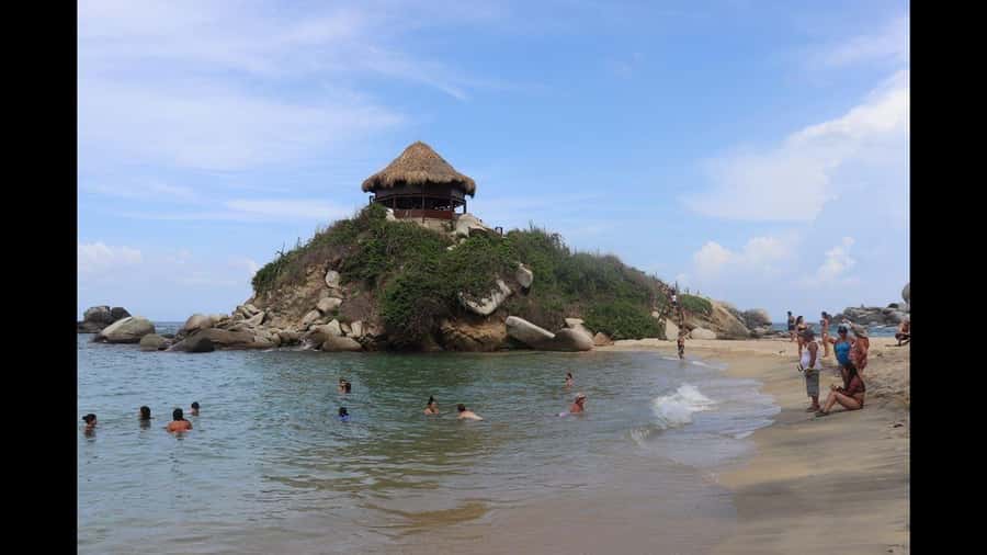 Tayrona Park: Group Tour To Cabo San Juan - A Deep Dive Into the Tayrona Park Experience