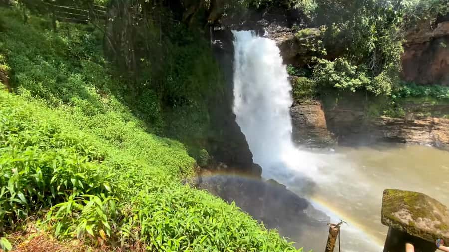 Goa: Harvalem Waterfall & Spice Plantation Tour - Who Is This Tour Best For?