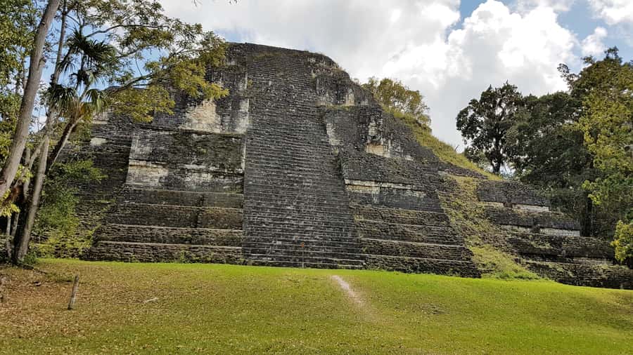 From Flores: Guided Tour to the Ruins of Tikal - The Journey to Tikal: What to Expect