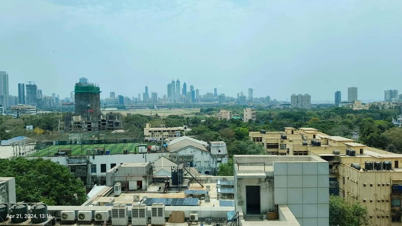 Discover Mumbai Express: Half-Day City Adventure - Who Will Love This Tour?