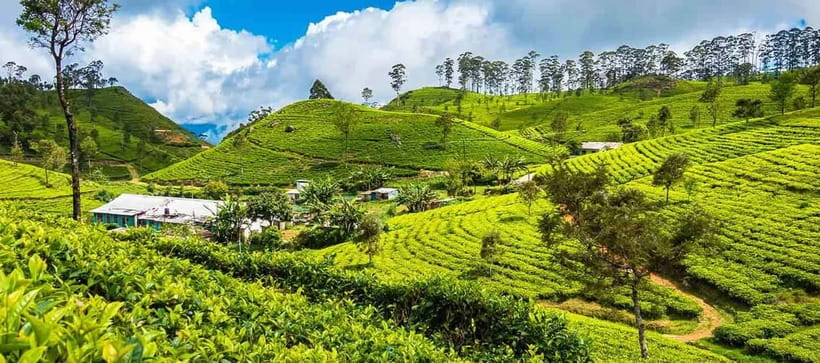 Ella: Day Tour From Kandy with Train Ride - Exploring the Itinerary in Detail