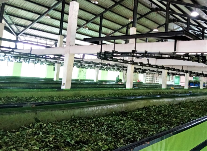 Ella: Day Tour From Kandy with Train Ride - FAQ