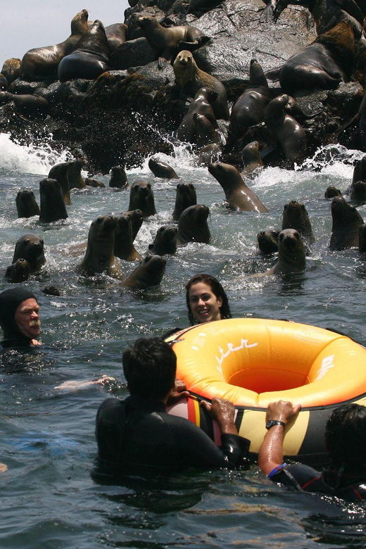 LIMA|| Enjoy an exciting excursion to the Palomino Islands - Final Thoughts