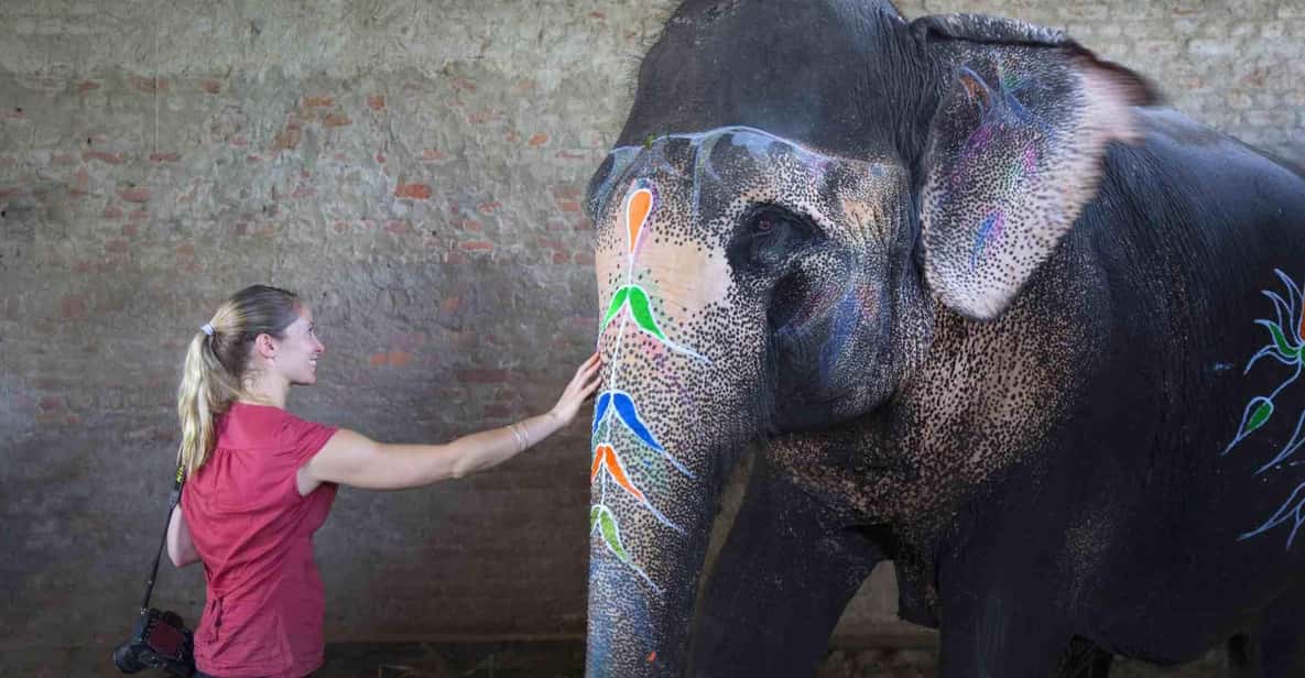 From Delhi: Taj Mahal Sunrise Tour w/ Elephant Conservation - The Itinerary in Detail