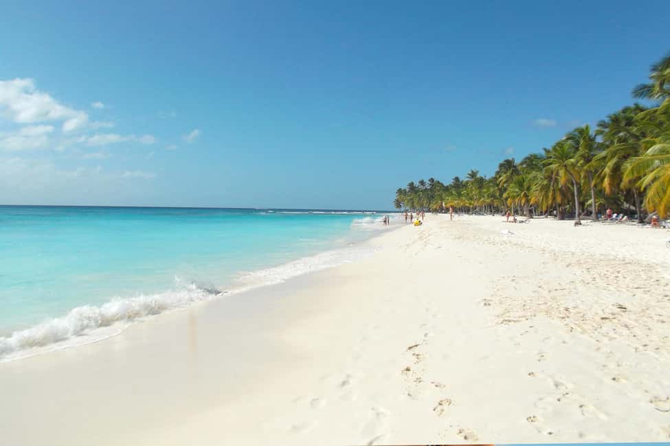 Punta Cana: Saona Island Catamaran Tour & Buffet Lunch - Punta Cana: Saona Island Catamaran Tour & Buffet Lunch — A Deep Dive