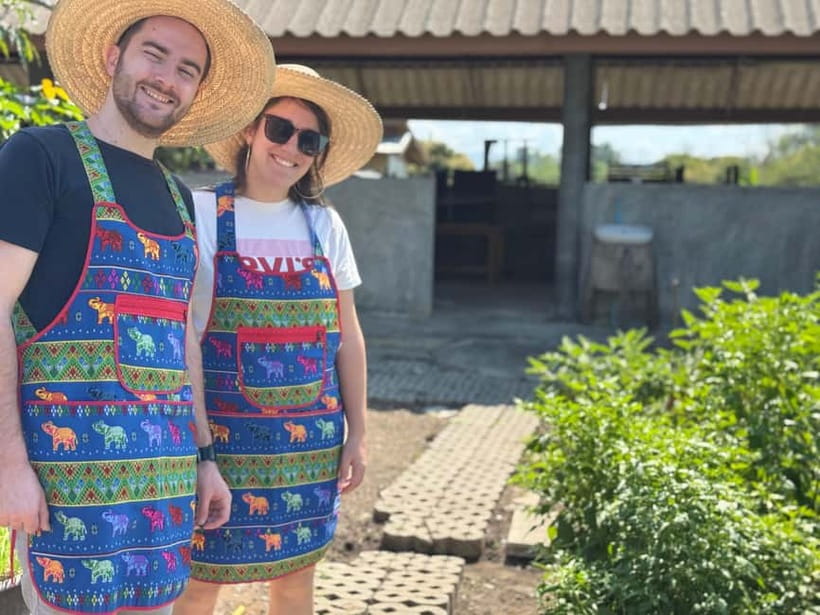 Chiang Mai : Cook in Farm, Market tour & Go by a Local Train - Why Is This Tour a Great Choice?