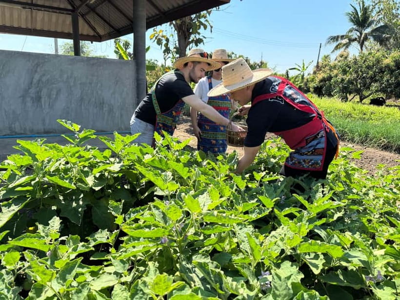 Chiang Mai : Cook in Farm, Market tour & Go by a Local Train - Practical Details: Transport, Duration, and Group Size