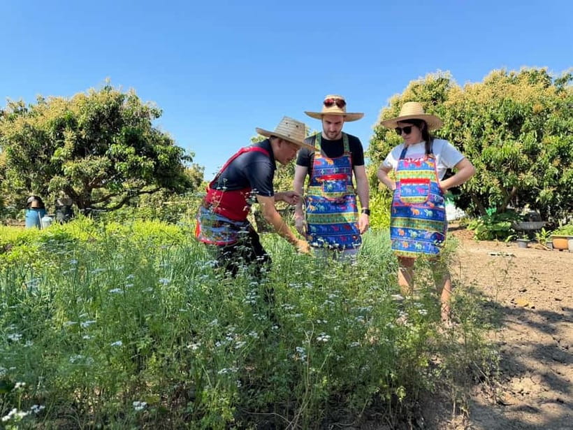 Chiang Mai : Cook in Farm, Market tour & Go by a Local Train - Discover the Charm of Chiang Mai’s Farm-to-Table Cooking Tour