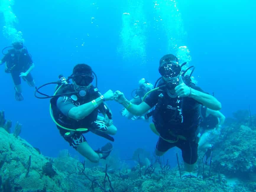 diving without a license catalina island from punta cana - Who Will Love This Tour?