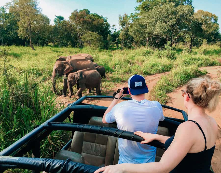 All Inclusive Hurulu Eco Park 3 Hour Elephant Safari Tour - Introduction