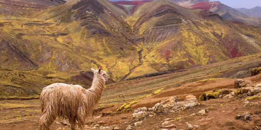 Cusco : Palcoyo - Rainbow Mountain Hidden Sister - A Closer Look at the Palcoyo Rainbow Mountain Tour