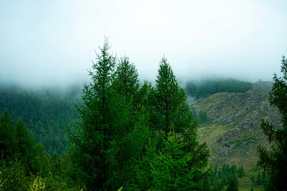 From Rishikesh: Day trek to Shivas Abode in Mystic Himalaya - Why It’s a Good Choice