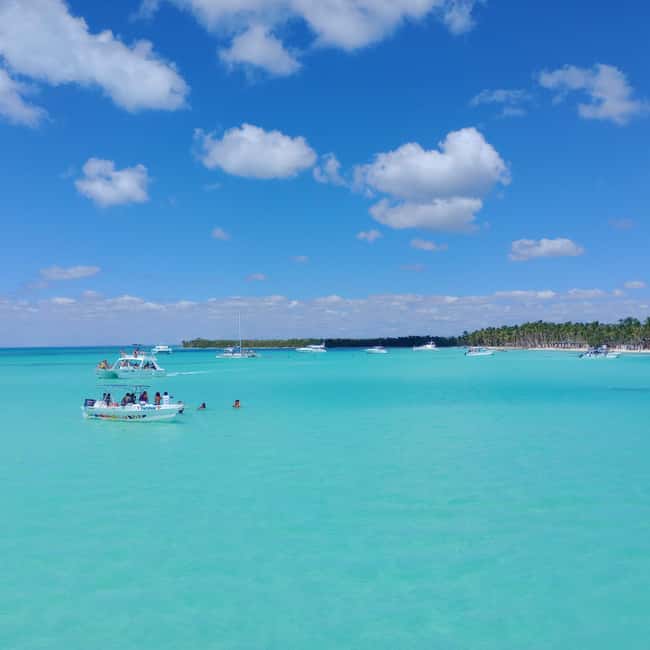 Saona Island Full-Day Cruise, Natural Pool and Lunch - Saona Island Full-Day Cruise, Natural Pool and Lunch: An Honest Look at Paradise