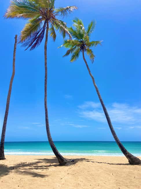 Saona Island Full-Day Cruise, Natural Pool and Lunch - The Return Journey: A Catamaran Cruise