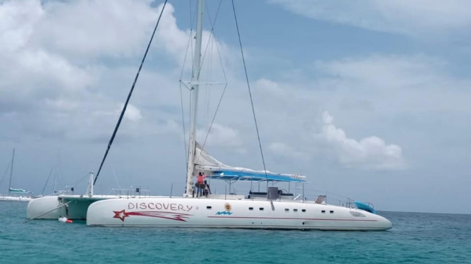 Saona Island Full-Day Cruise, Natural Pool and Lunch - The Sum Up