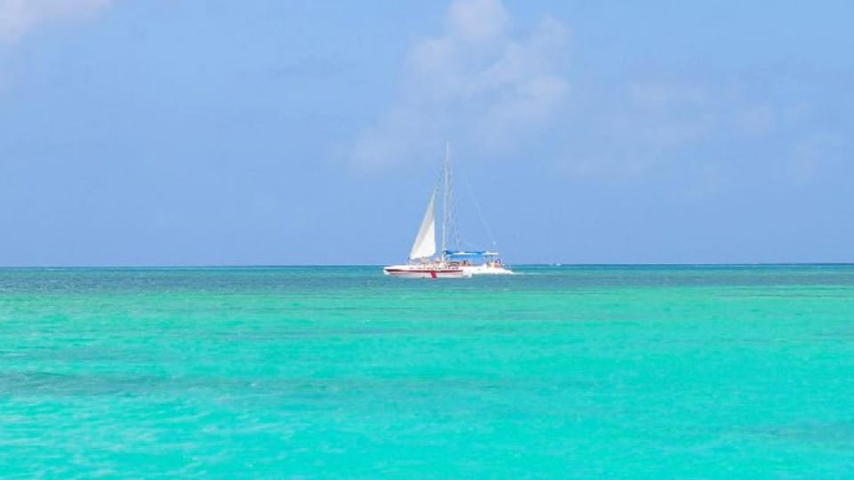 Saona Island Full-Day Cruise, Natural Pool and Lunch - Lunch: A Taste of Local Flavors