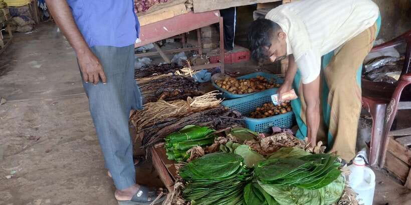 Nilaveli; Trinco City tour by Tuk Tuk - Key Points