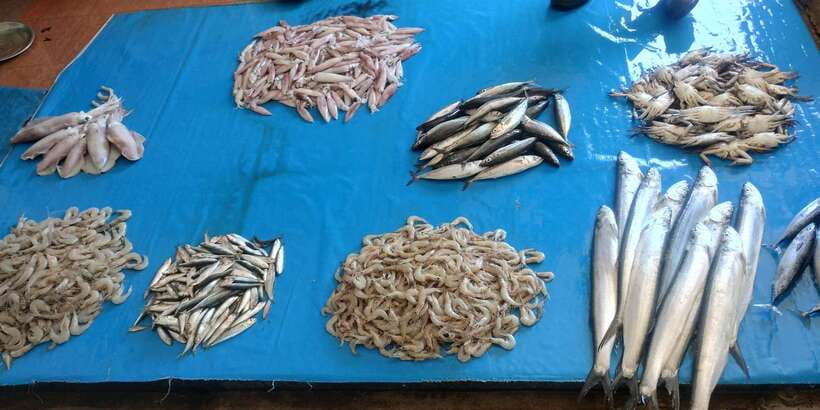 Nilaveli; Trinco City tour by Tuk Tuk - Practical Details and Tips