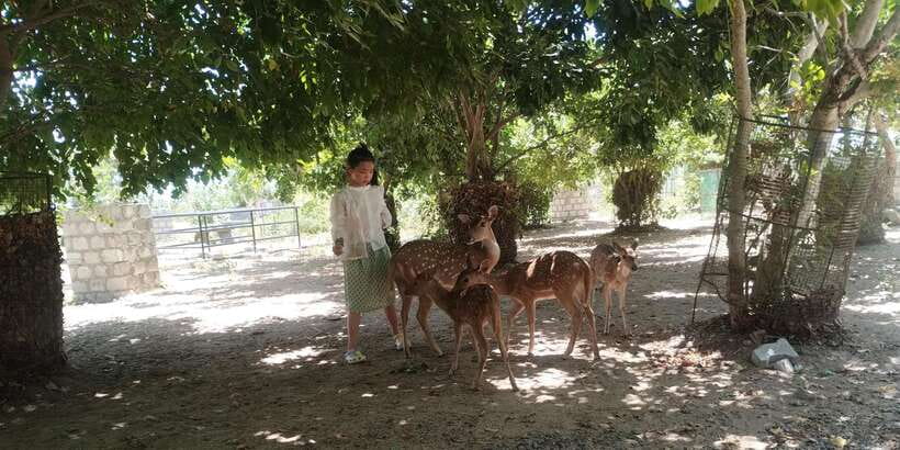 Nilaveli; Trinco City tour by Tuk Tuk - What the Reviews Say