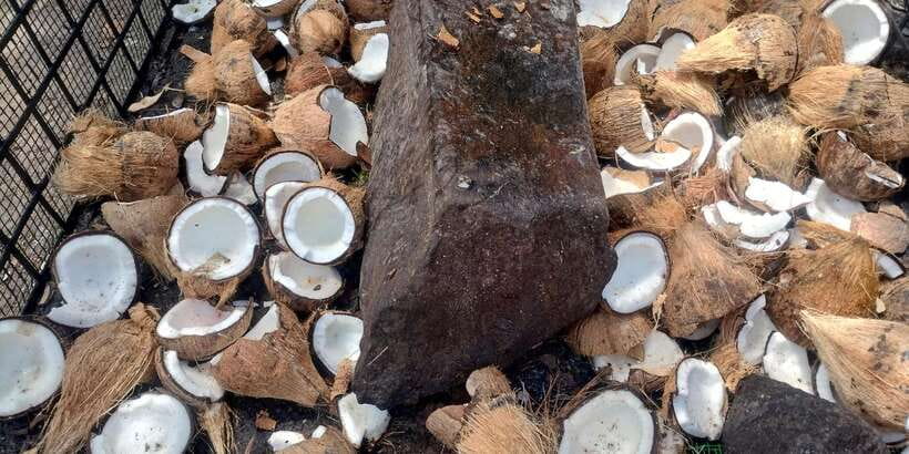 Nilaveli; Trinco City tour by Tuk Tuk - Who Will Enjoy This Tour?